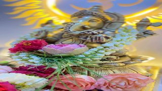 Bappa 